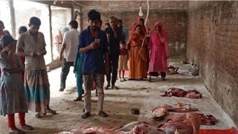 ঘোড়ার মাংস গরুর বলে বিক্রির চেষ্টা, ৩ জনের জেল