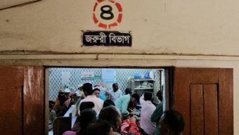 পাথরঘাটায় বেওয়ারিশ কুকুরের কামড়ে আহত অন্তত ২৫