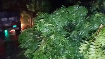 কালবৈশাখীর তাণ্ডব, তিনতলা থেকে পড়ে বৃদ্ধের মৃত্যু