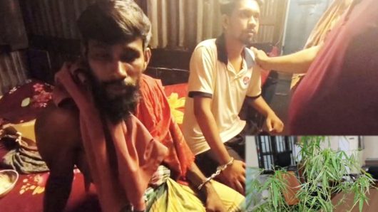 পিরোজপুরে গাঁজা গাছসহ মাদক সেবনরত অবস্থায় দুই যুবক গ্রেপ্তার