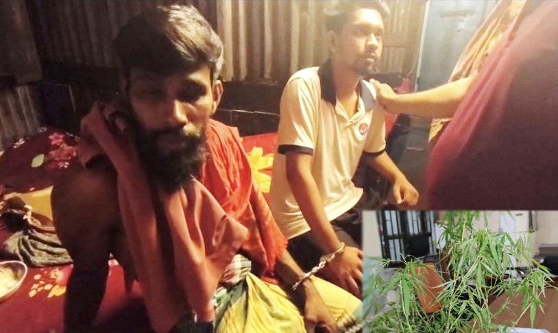 পিরোজপুরে গাঁজা গাছসহ মাদক সেবনরত অবস্থায় দুই যুবক গ্রেপ্তার