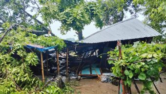 কালবৈশাখী ঝড়ে বসতবাড়ির ওপর গাছ পড়ে মা-মেয়েসহ নিহত ৩