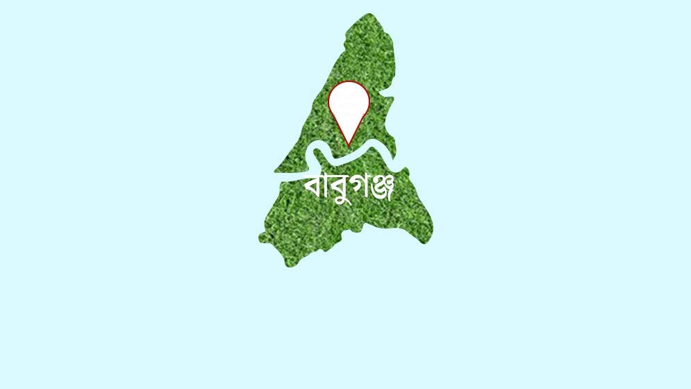 বাবুগঞ্জে একযোগে ৫ ইউনিয়নের প্রশাসনিক কর্মকর্তা বদলি