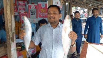 ভোলার মেঘনায় জেলেদের জালে দুই ‘রাজা ইলিশ’, ১০ হাজারে বিক্রি