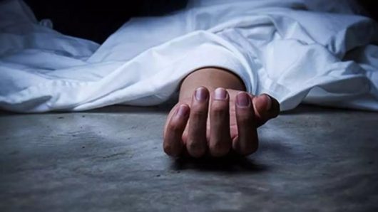 পিরোজপুরে নানাবাড়িতে বেড়াতে গিয়ে প্রাণ গেল ২ ভাইয়ের
