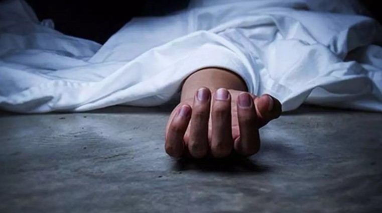 পিরোজপুরে নানাবাড়িতে বেড়াতে গিয়ে প্রাণ গেল ২ ভাইয়ের