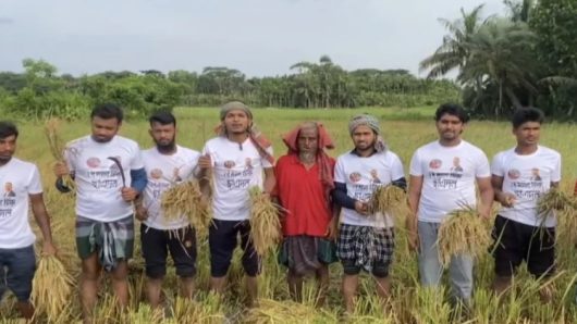 পিরোজপুরে কৃষকদের পাশে দাঁড়ালো ছাত্রদল