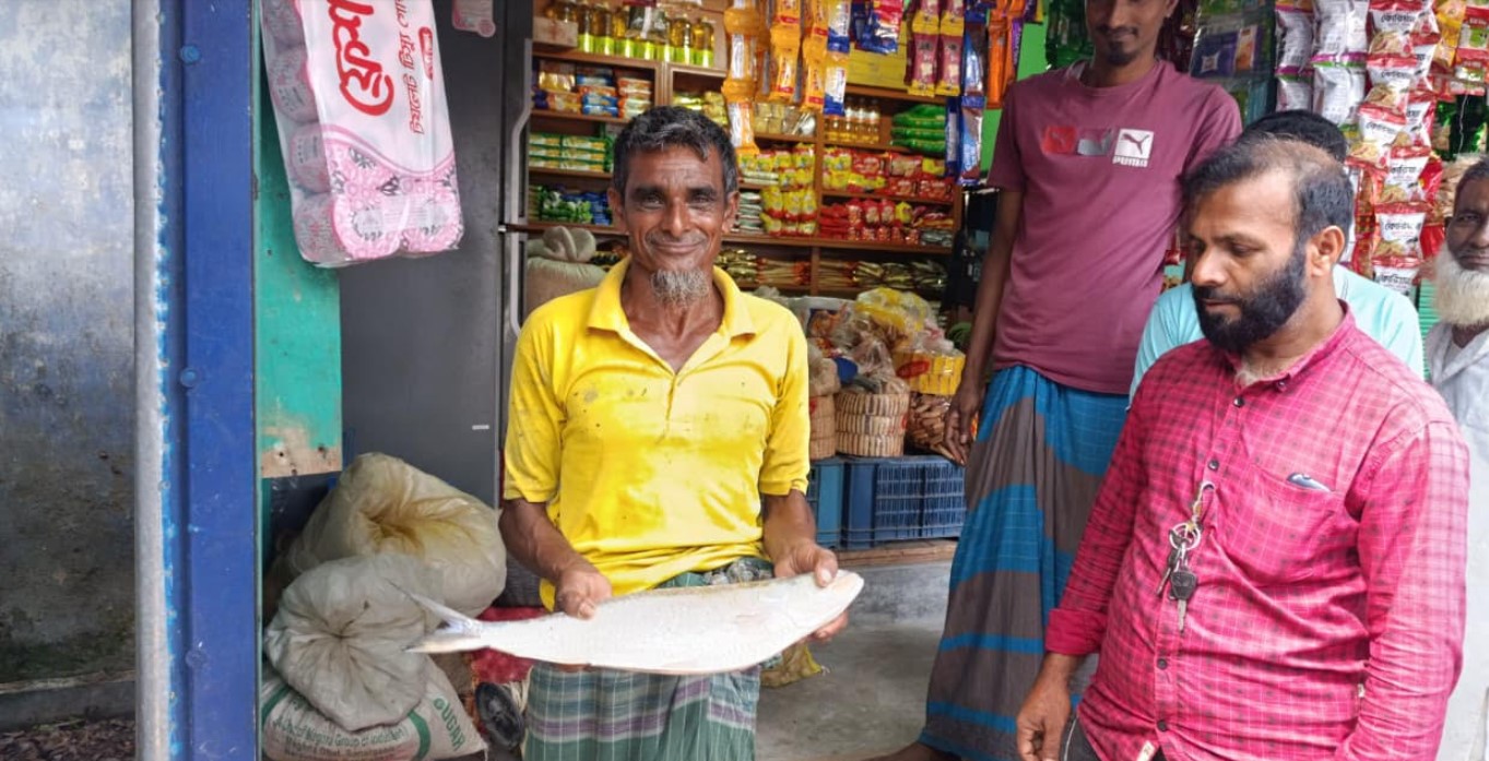 দুমকির পায়রা নদীতে ধরা পড়ল ২ কেজির ইলিশ
