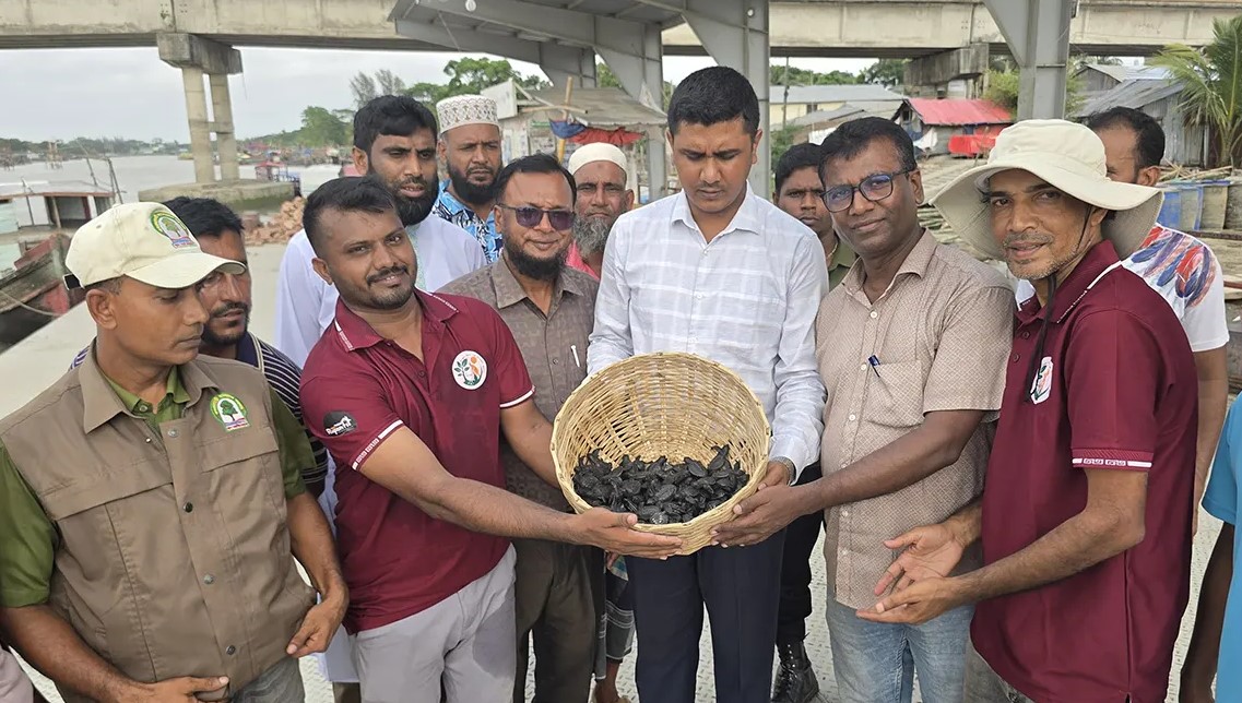 কুয়াকাটা সমুদ্র সৈকত থেকে ১৬৩ কচ্ছপের বাচ্চা উদ্ধার, পরে অবমুক্ত