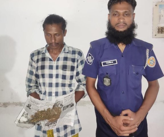 মির্জাগঞ্জে ৫০ গ্রাম গাঁজাসহ মাদক ব্যবসায়ী গ্রেপ্তার