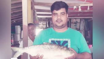 ভোলায় জেলের জালে ধরা পড়েছে রাজা ইলিশ, দাম ৯ হাজার