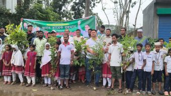 তারেক রহমানের আহ্বানে চরকাউয়ায় যুবদলের বৃক্ষরোপণ কর্মসূচি