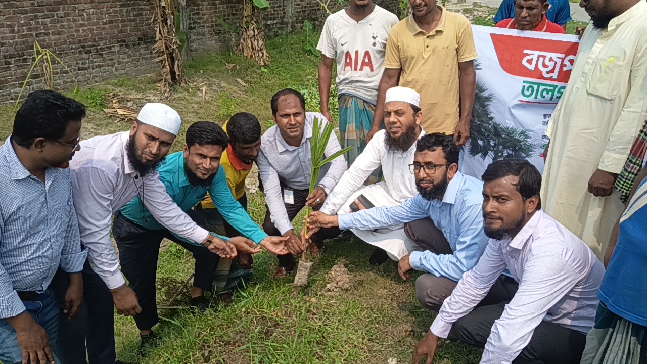 বজ্রপাত নিরোধনে স্কয়ার ক্রপ কেয়ার ডিভিশনের উদ্যোগে কিশোরগঞ্জে দুইশতাধিক তালগাছের চারা রোপন